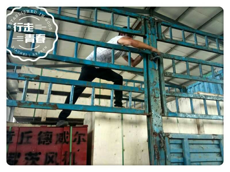 羅茨風(fēng)機(jī)發(fā)貨現(xiàn)場圖六